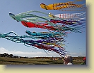 Saachi-Kite-Festival-Jul09 (20) * 3072 x 2304 * (3.04MB)